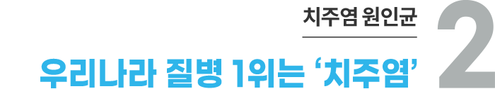 2. 치주염 원인균 - 우리나라 질병 1위는 ‘치주염’